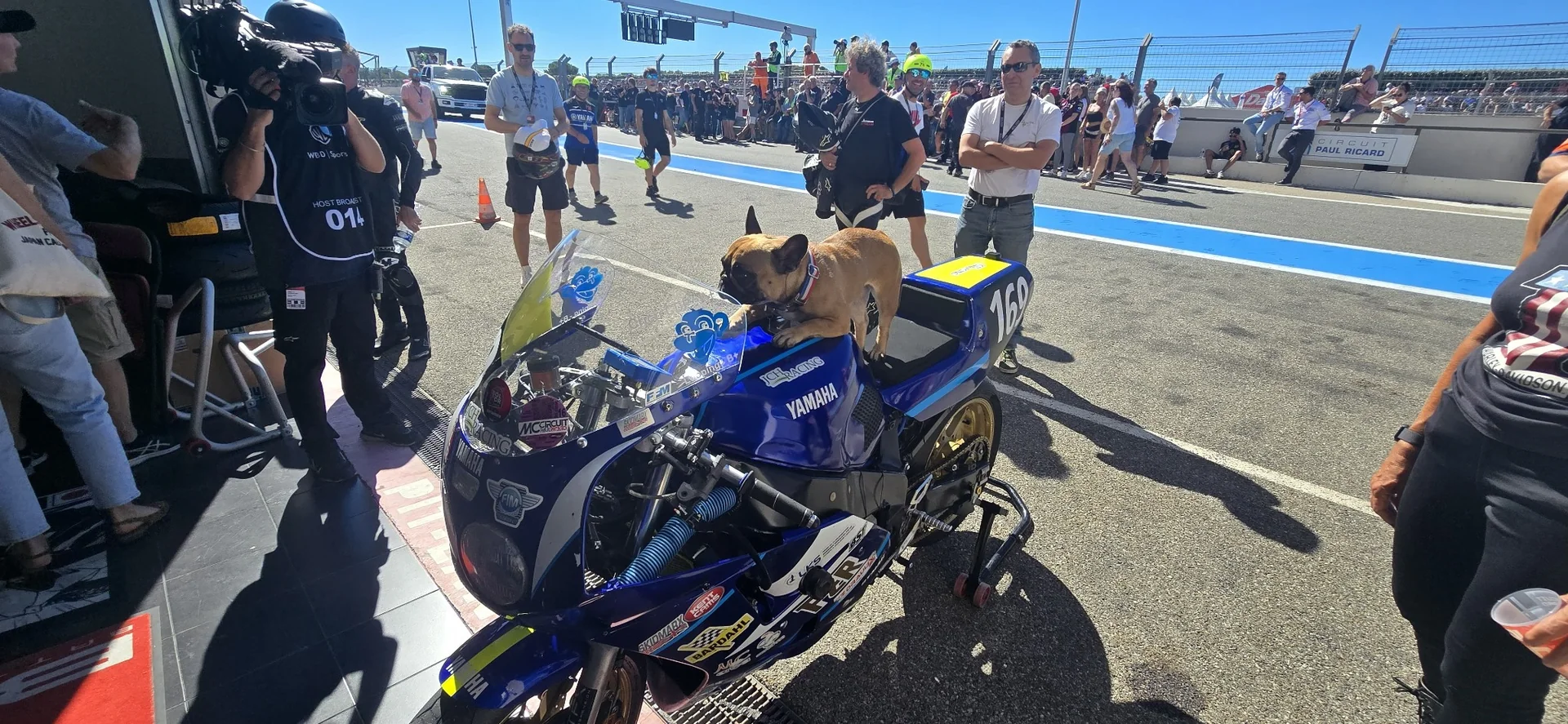 Shelby, mascotte de JCH Racing, sur la Yamaha #169 au Bol d’Or Classic